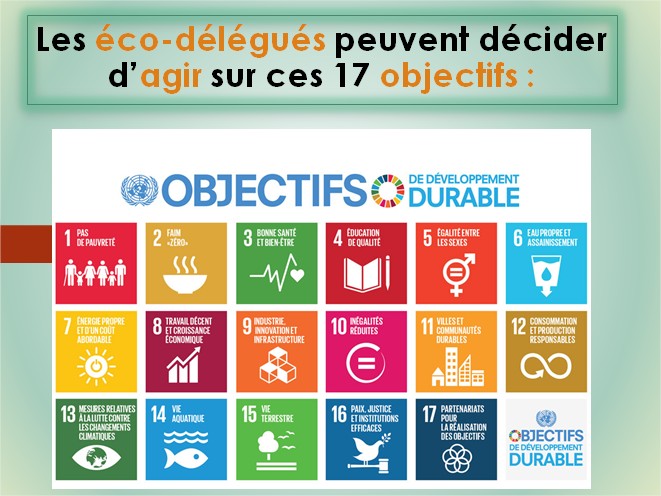 ☘️ Deviens éco-délégué(e) et agis pour ton lycée et ta planète ! 🌎 - 🌱  E3D - Développement Durable - CITE SCOLAIRE RIVE GAUCHE - MIRAIL